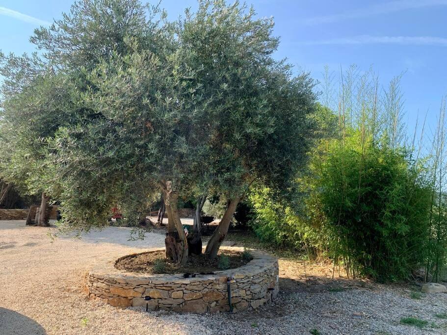 Maison Pipette Pipette Maison Le Castellet  Esterno foto